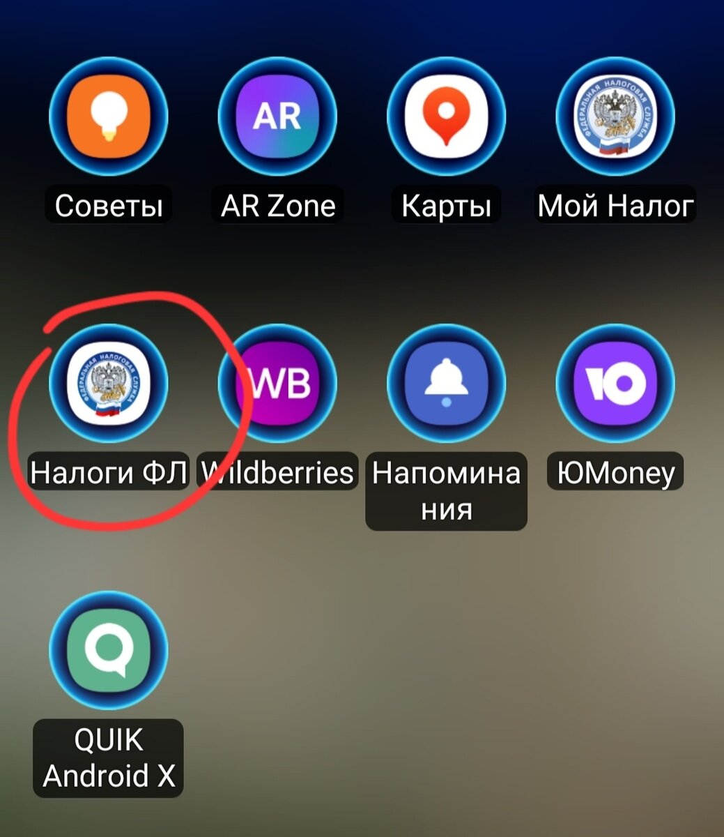 Вот это приложение. Заходим через госуслуги. Пароль от госуслуг.