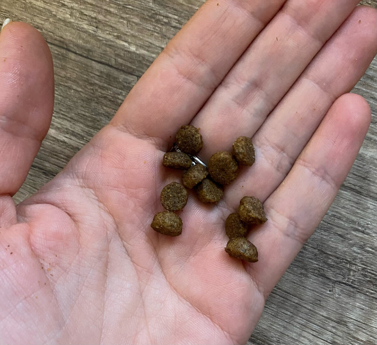 Гранулы же могу показать. Ладонь как маркер размера. 