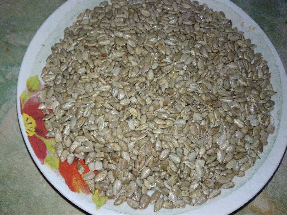 Замоченные семена подсолнуха