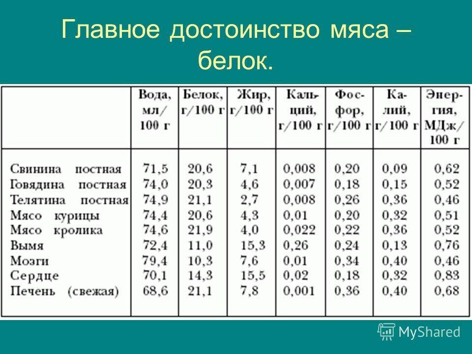 Сколько белка содержится в 100 граммах мяса говядины: …