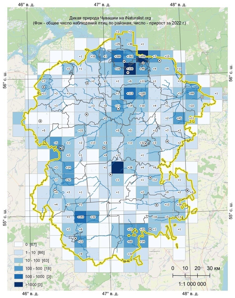 Птицы. 2715 наблюдений 196 видов. 67 пустых квадратов и в 3 - более 1000