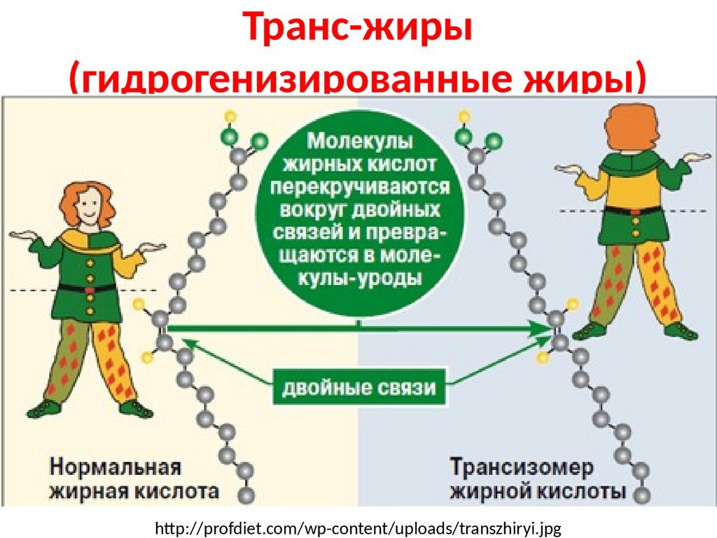 Содержание трансизомеров. Трансжиры структура. Трансизомеры жирных кислот что это такое. Трансжиры молекула. Транс ненасыщенные жирные кислоты.