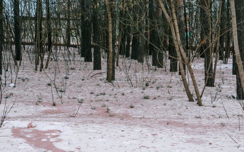    Снег в городке Строителей приобрел красный оттенок. Фото: Маша Бакланова