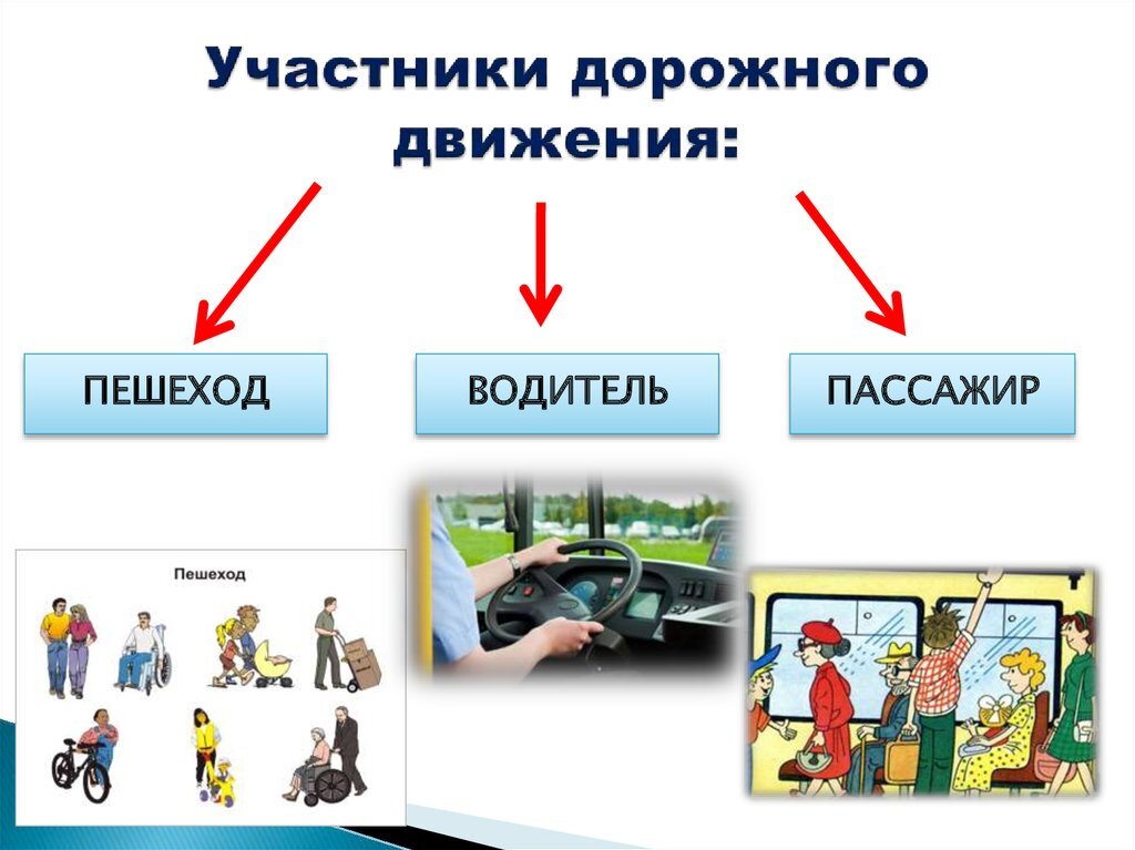 Участники дорожного движения презентация