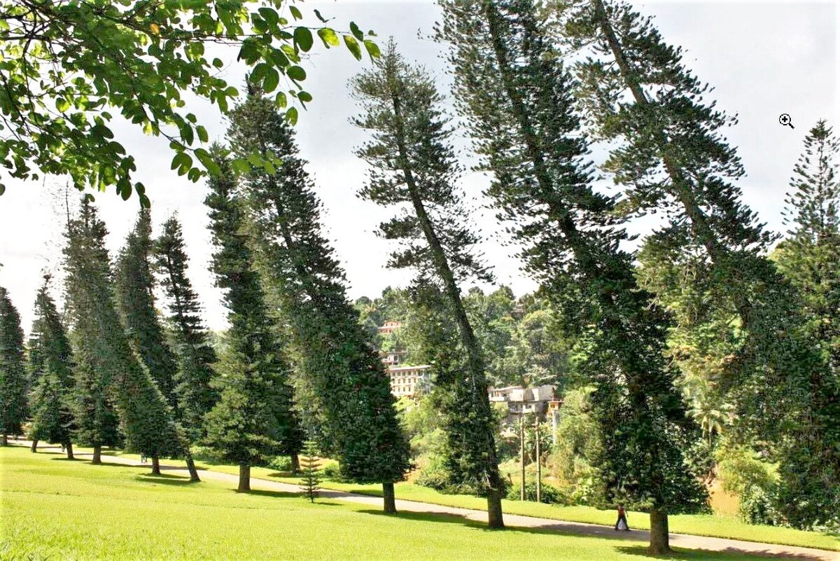 Ветер тут не причем