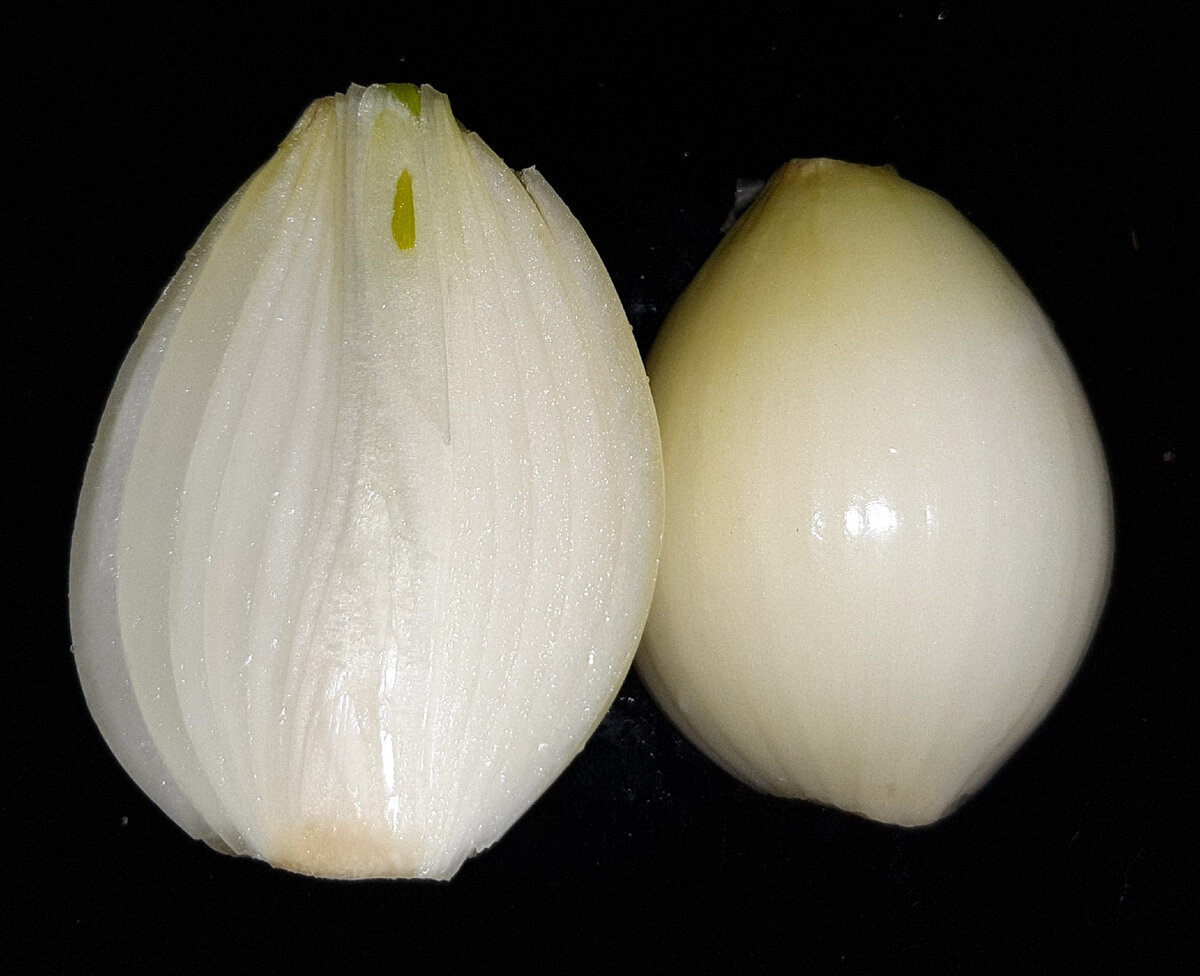 Фото автора от 01.02.23.