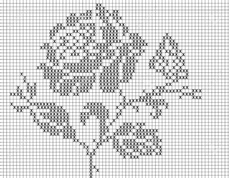 Фото из свободного источника