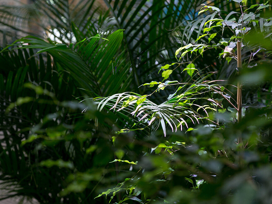 Фото: Город Казань KZN.RU