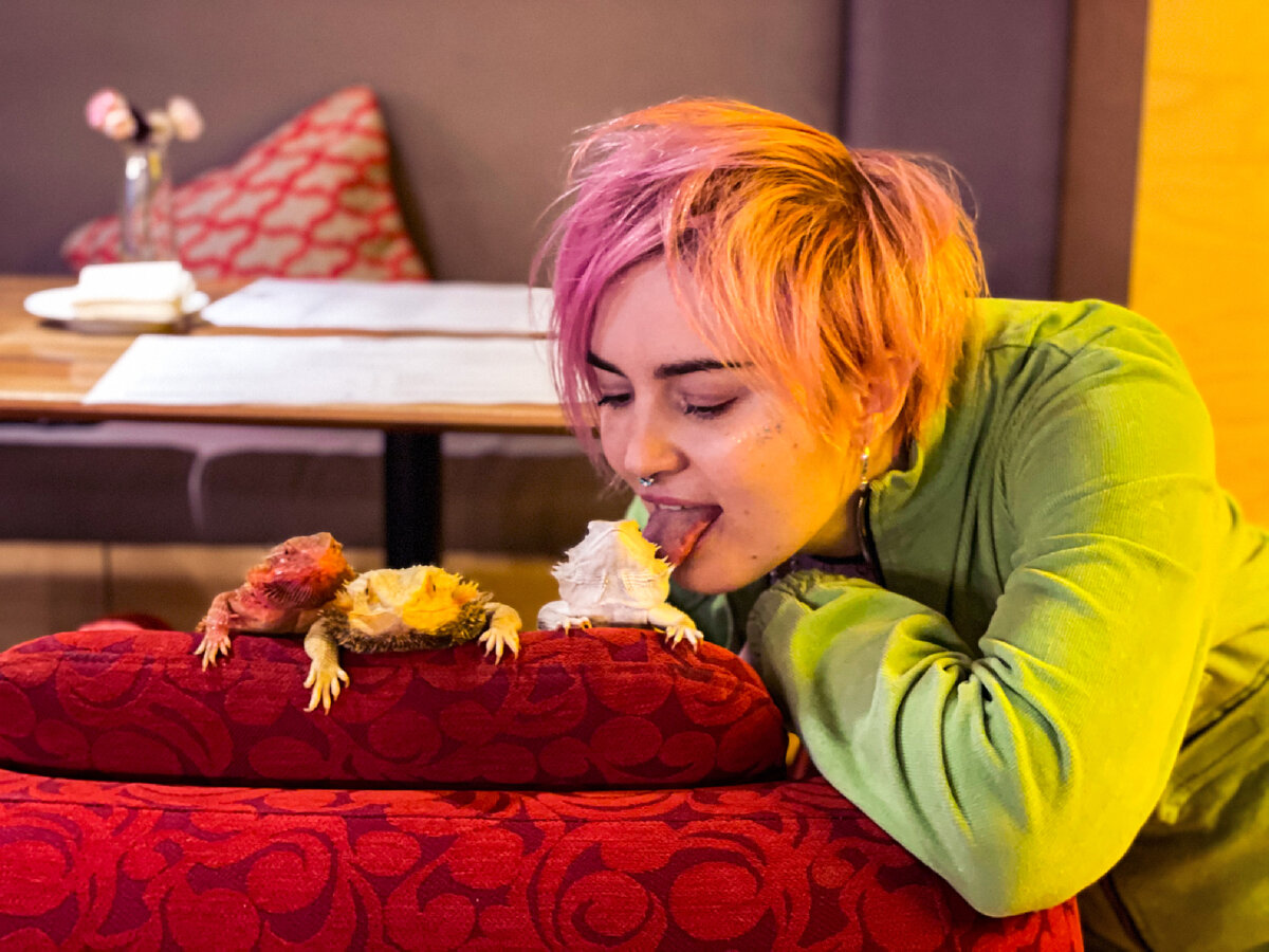 Слева на право: Помидорка, Лимон и Рафаэлка