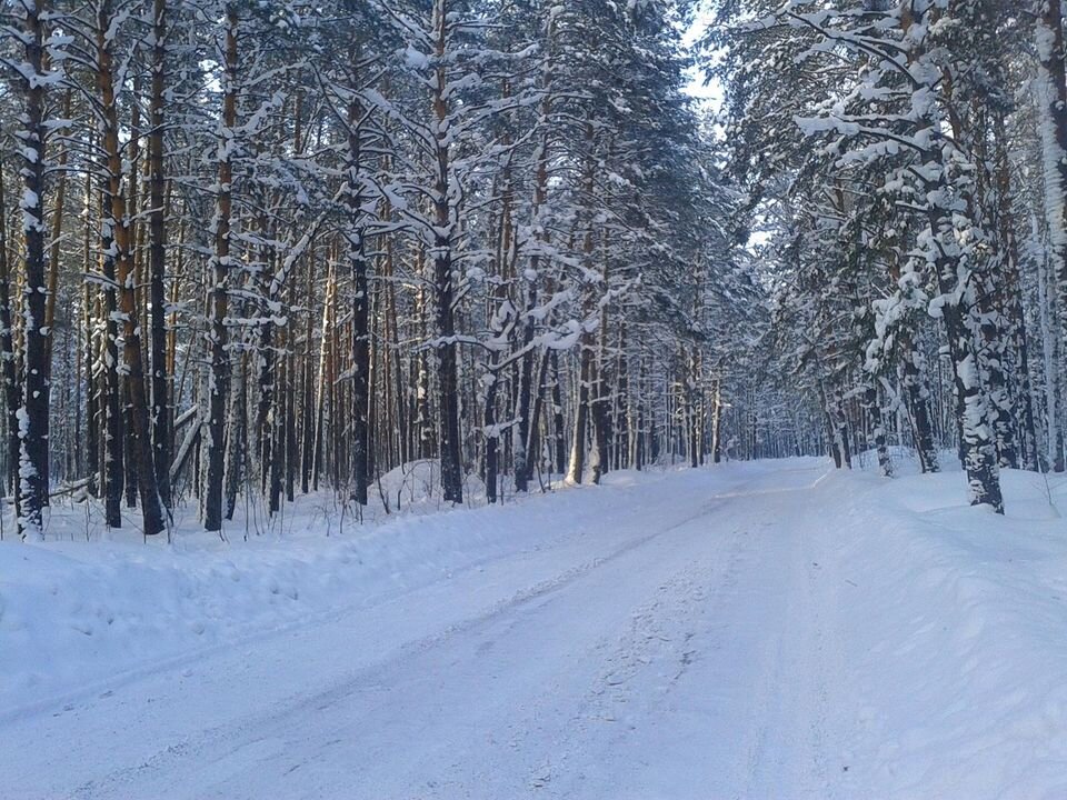 Мне выпала красивая дорога на помойку