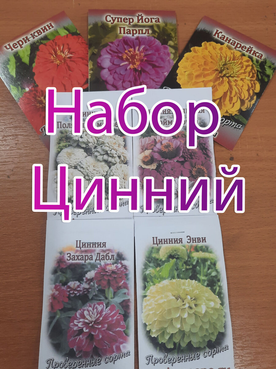 Два моих главных фаворита среди однолетников | Огород - сад Медведевых ...