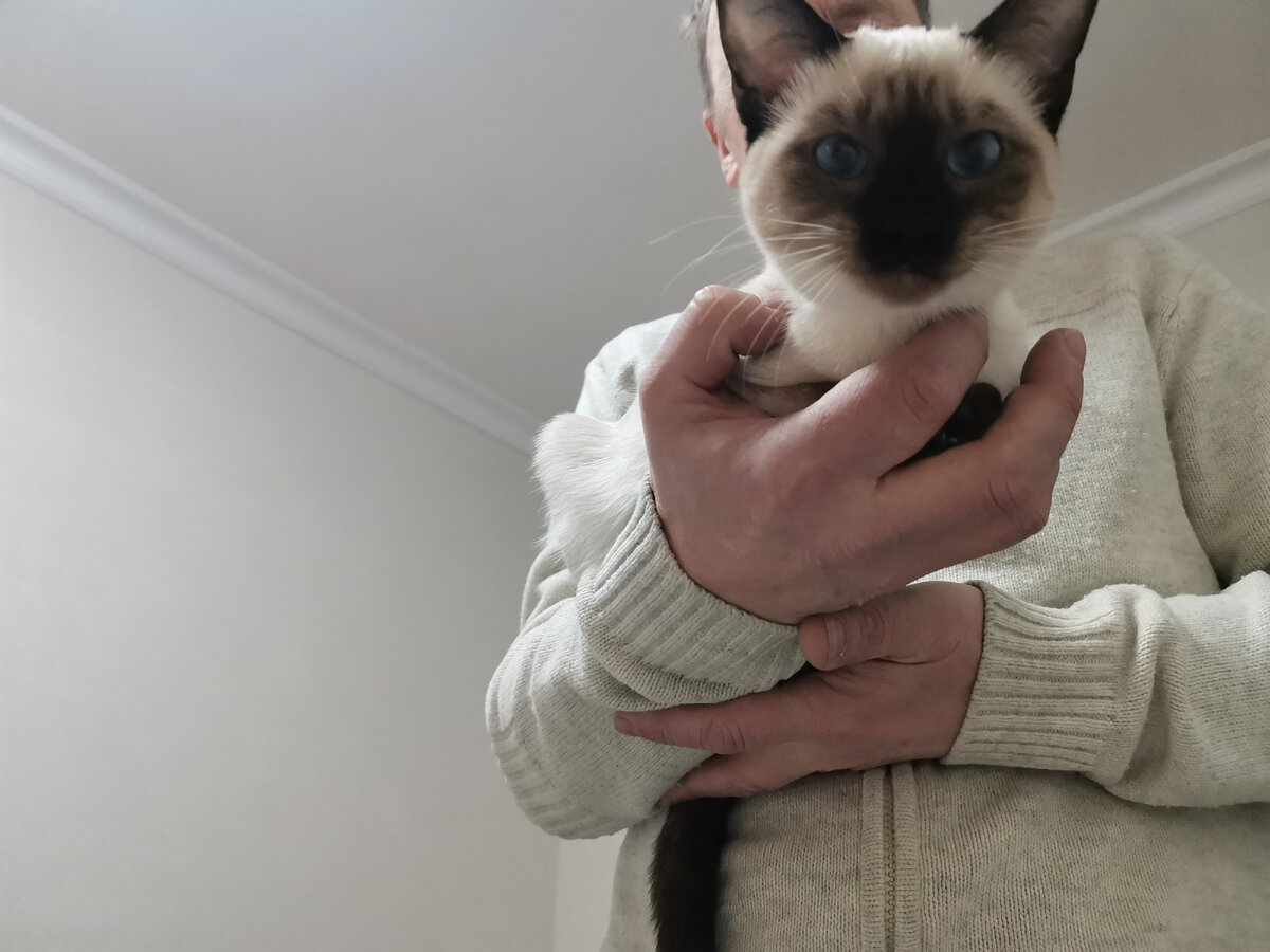 А уж Мартусик то как Сержа обожает 💕 не слезает с рук 😀