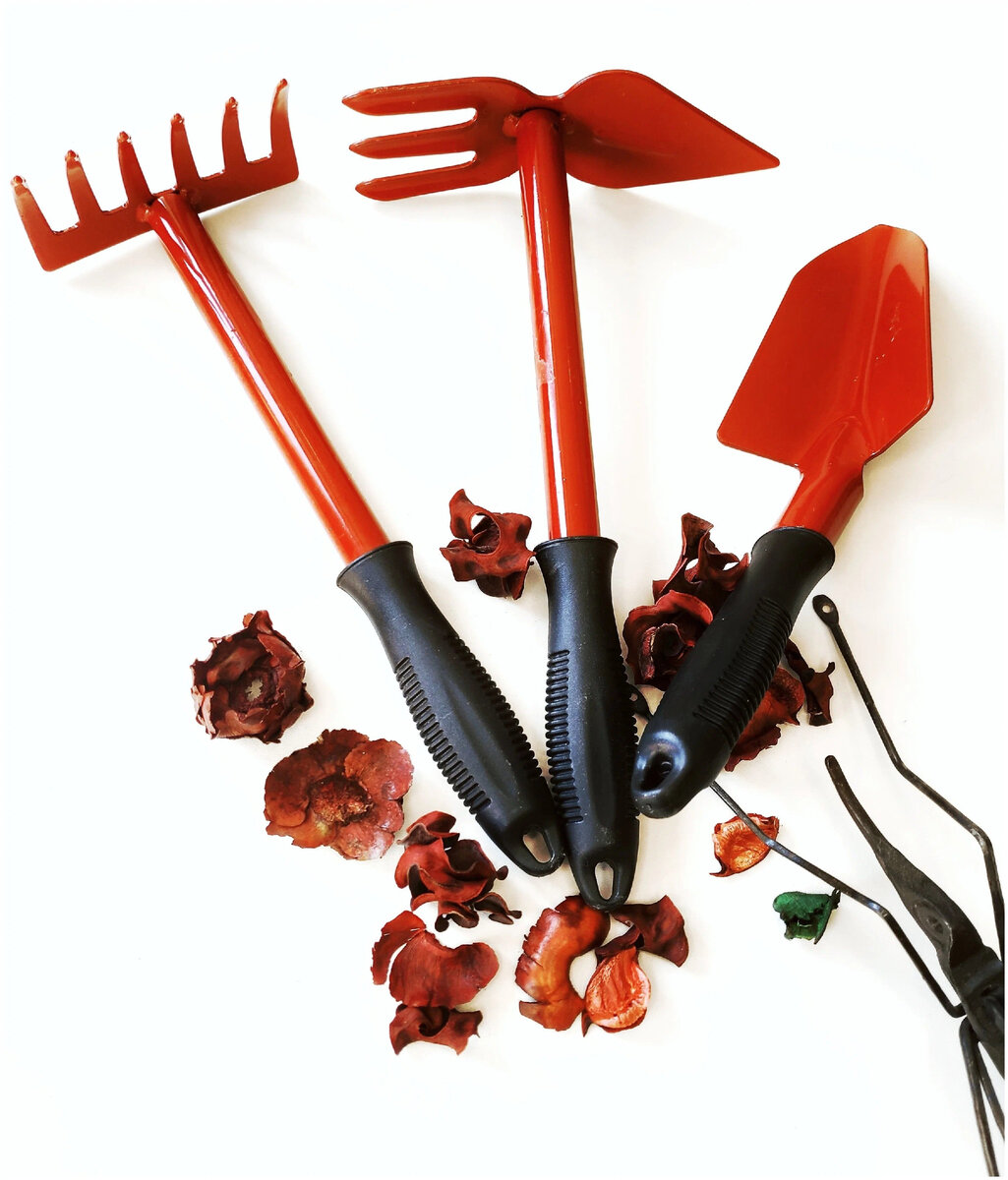 6 причин, почему каждому нужна дача. Зачем нужна дача без сада и ...