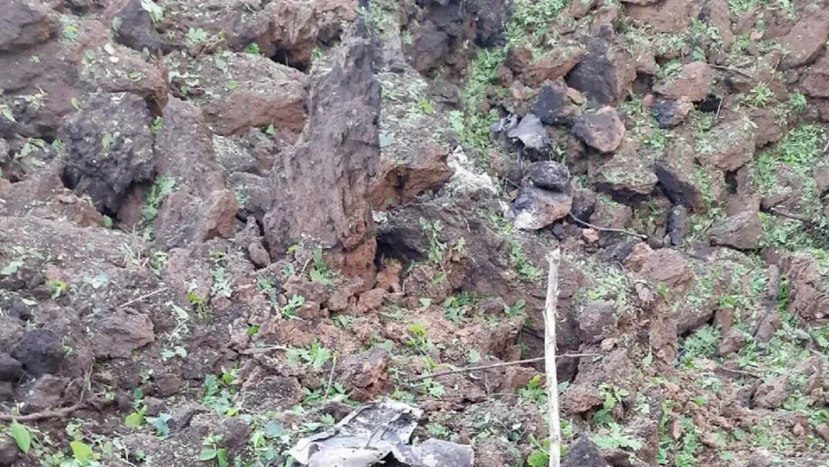 Фото: Настоящий Гладков / Telegram