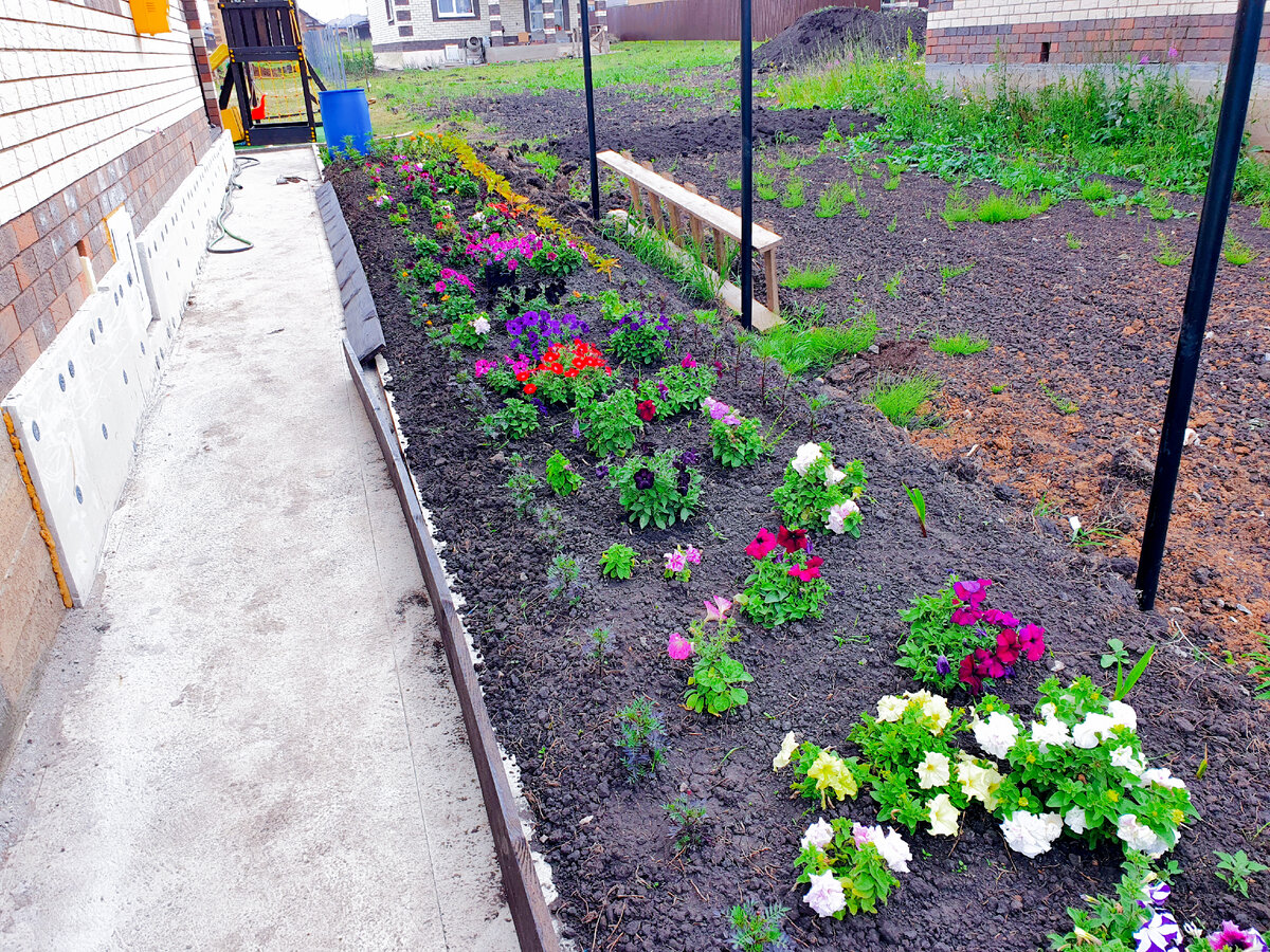 А вот и наша бесконечная клумба