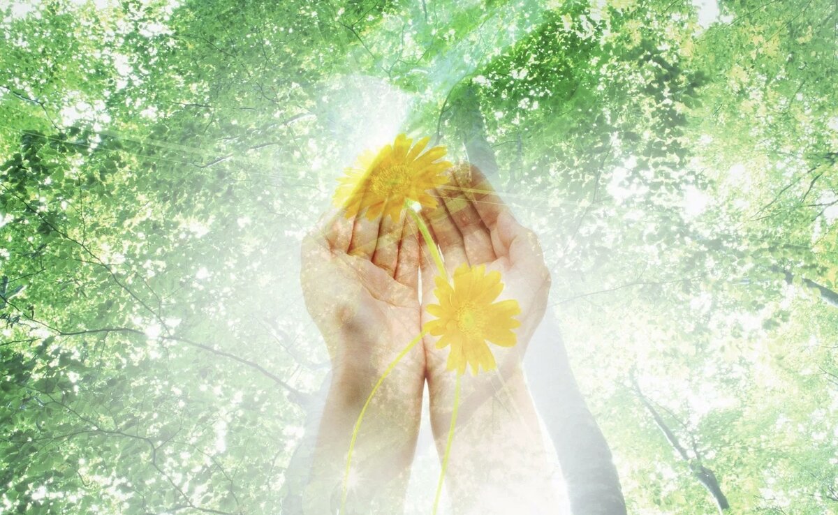 Яндекс.картинки