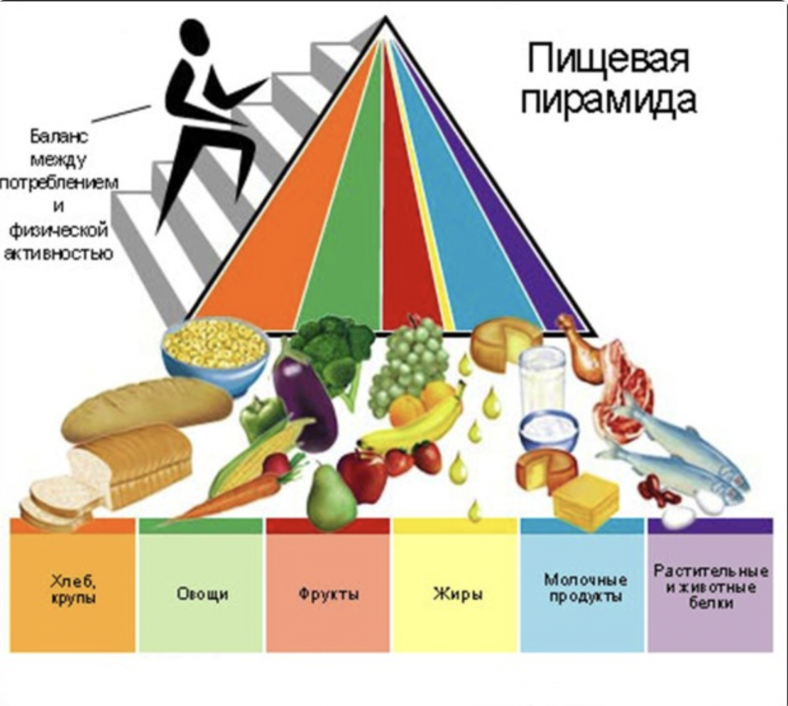 Что такое плотная питательная еда и как она может помочь при снижении веса,  разбираемся вместе с врачом диетологом | @doctor_alehina Врач диетолог Анна  Алехина | Дзен