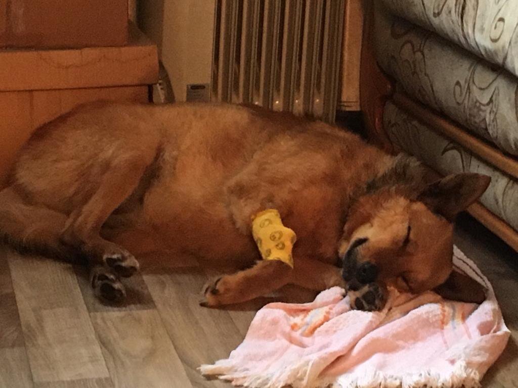 Отдых после стресса и облегчения состояния