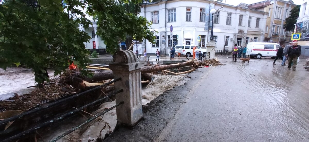 Сломанные ограждения и ветки с деревьями.