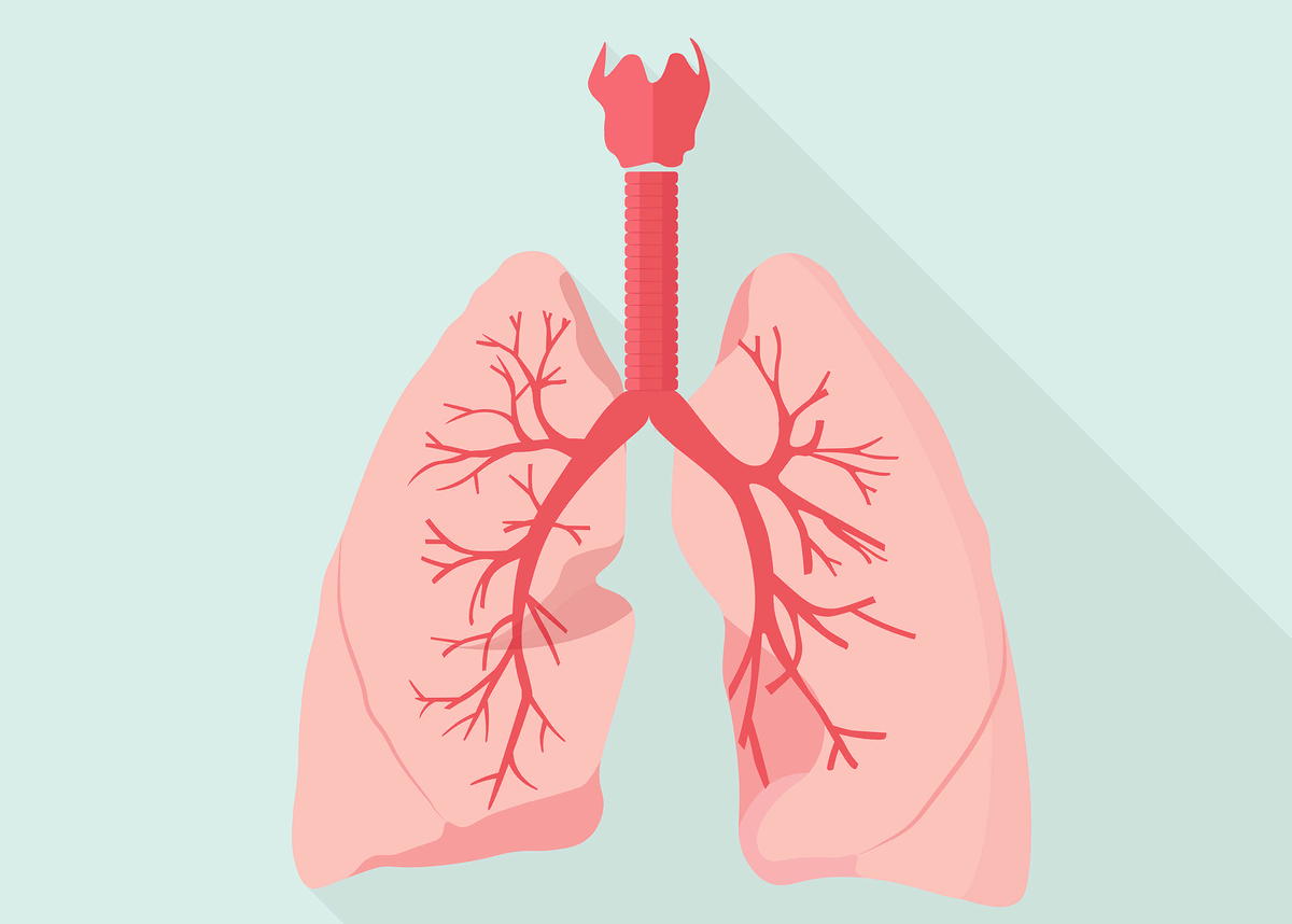 Трахеобронхит без кашля