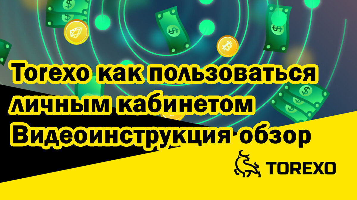 Как пользоваться кабинетом через телефон. Подробная видео инструкция. Torexo обзор личного кабинета пошагово. 