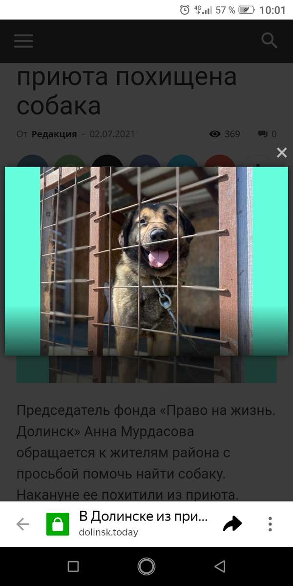 Хозяен после отказа,  похитил собаку. 