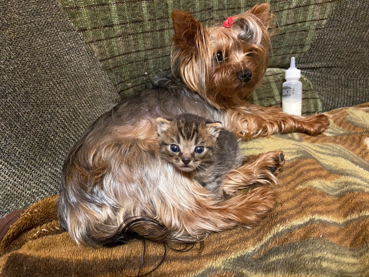 В тот день у Курской помойки остановилась машина. Из нее вышел мужчина с мусорным пакетом.-8