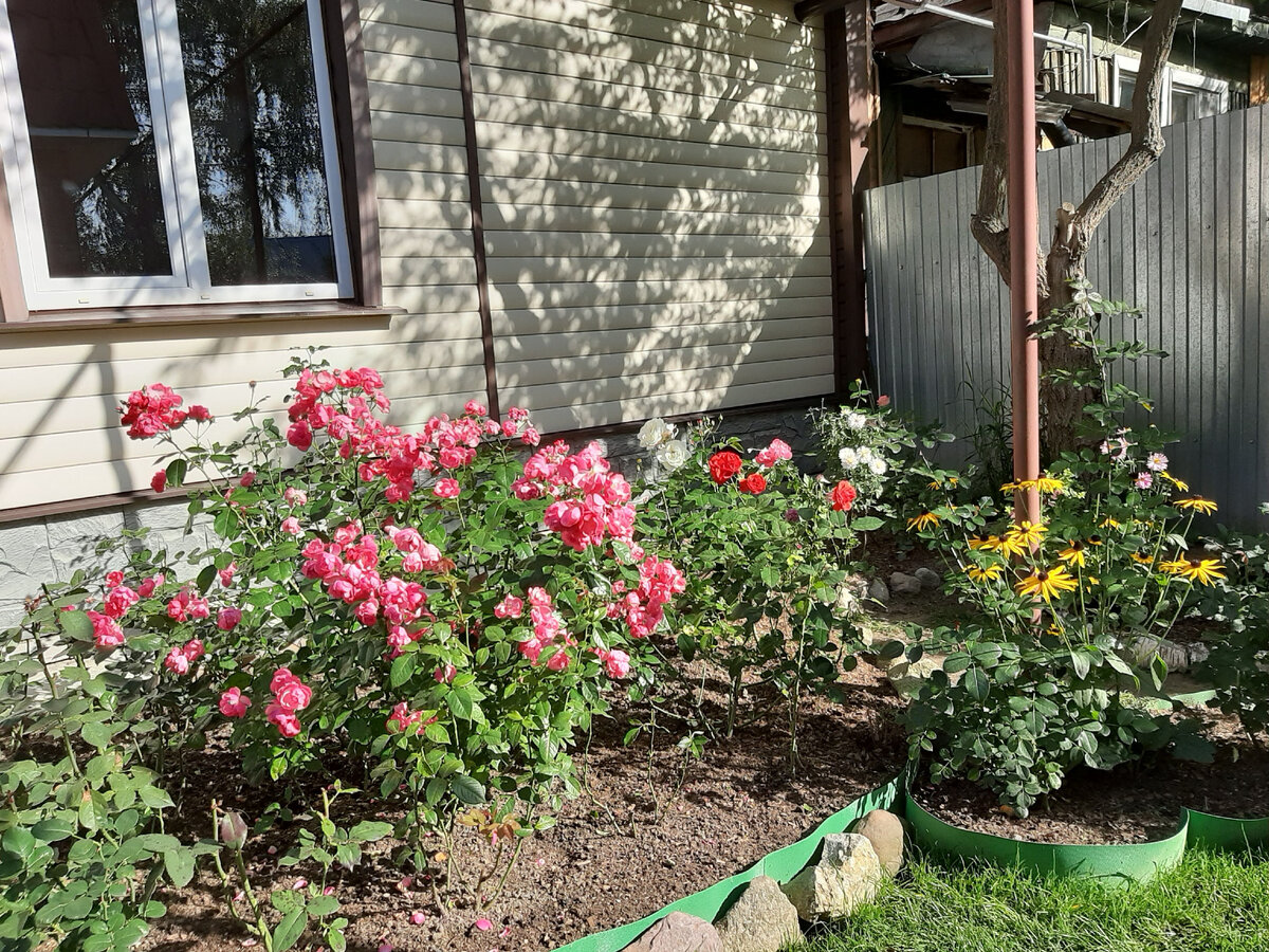 Сентябрь 2020