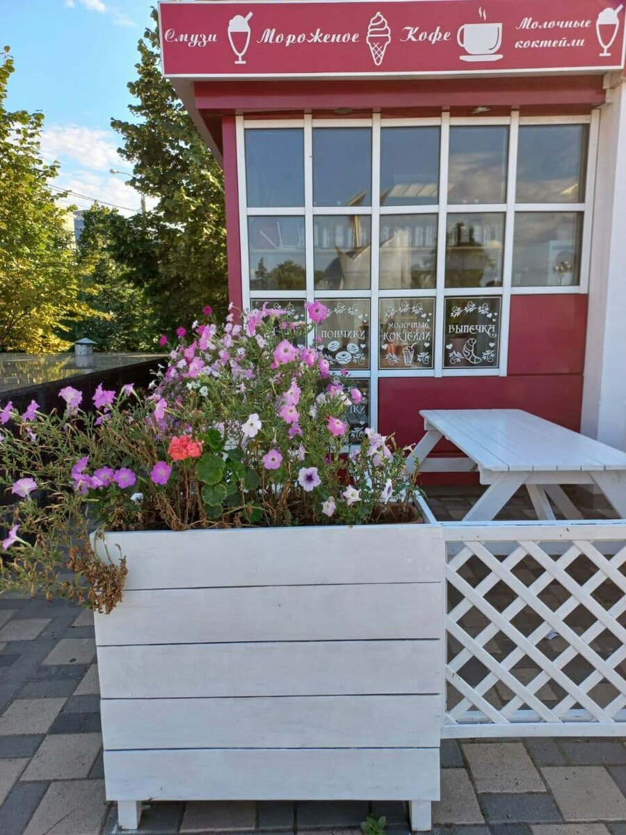 Фото автора.