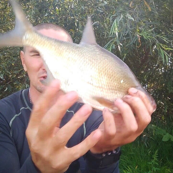 Лещ не сдается.