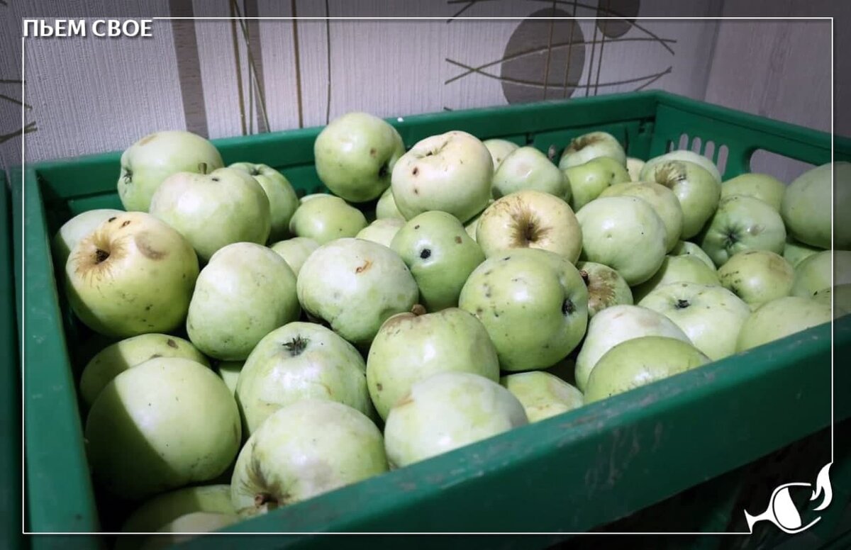 Кто-то видит яблоки, я вижу — яблочный бренди