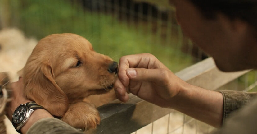 Уже тогда я чувствовал себя особенным