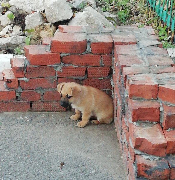 Фото из социальной сети ВКонтакте