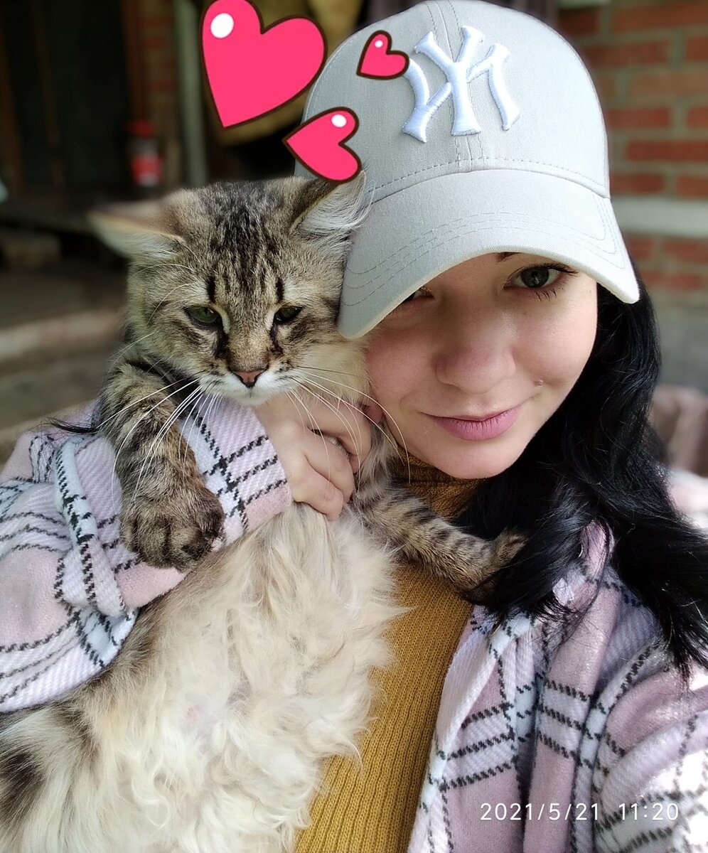 Кошка Герда