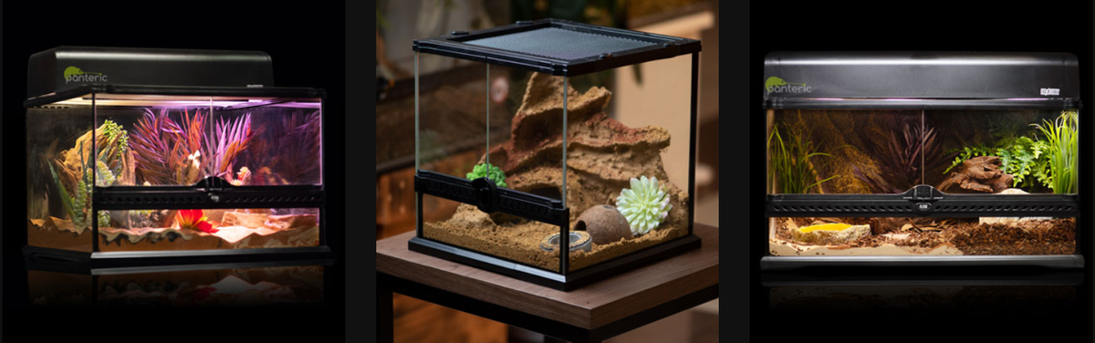 Подготовка условий содержания