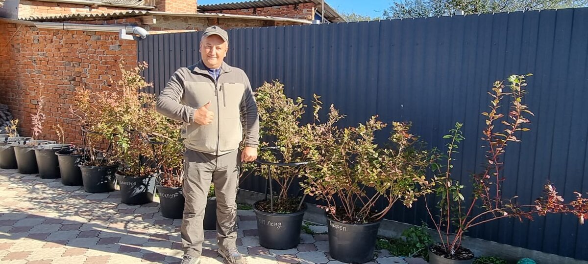 Сергей Зубцов: "Выращивать голубику в контейнерах проще"