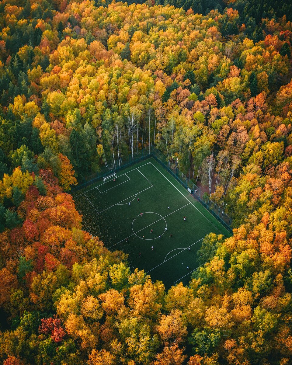 Мещерский парк футбольное поле