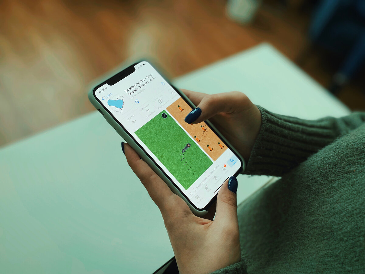Как мы тестировали мобильные игры... для собак | оHOOGенно о собаках | Дзен