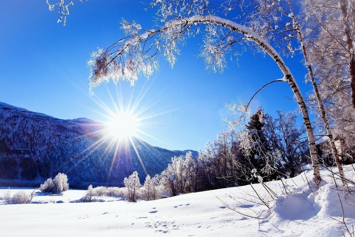 Какое 1 декабря – такая и зима будет. Приметы первого дня ❄ | Всё для  праздника | Дзен