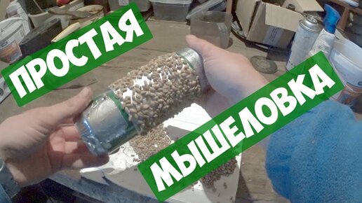 Мышеловка своими руками