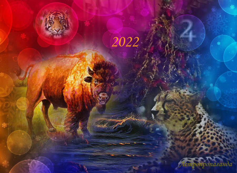 2026 год кого животного в чем встречать. 2022 Год кого животного.