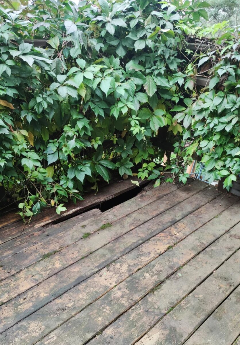 Придется менять 5-6 досок