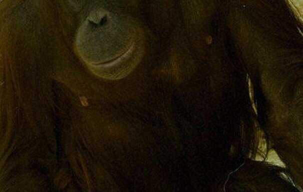 Селфи Ноньи. Фото из открытых источников.