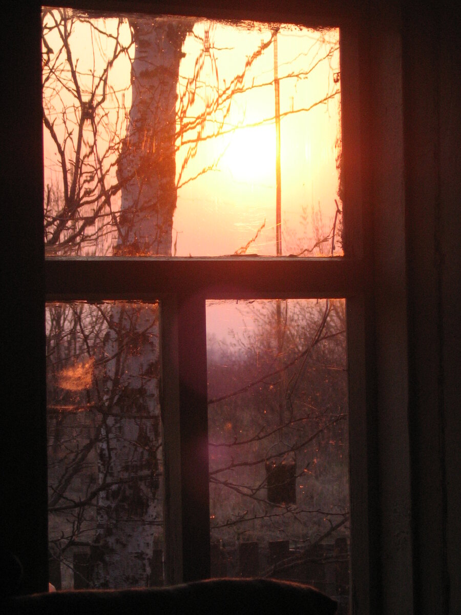 Родина моего отца. Дом, в котором он провёл последние дни своей жизни. И фото прадедов.