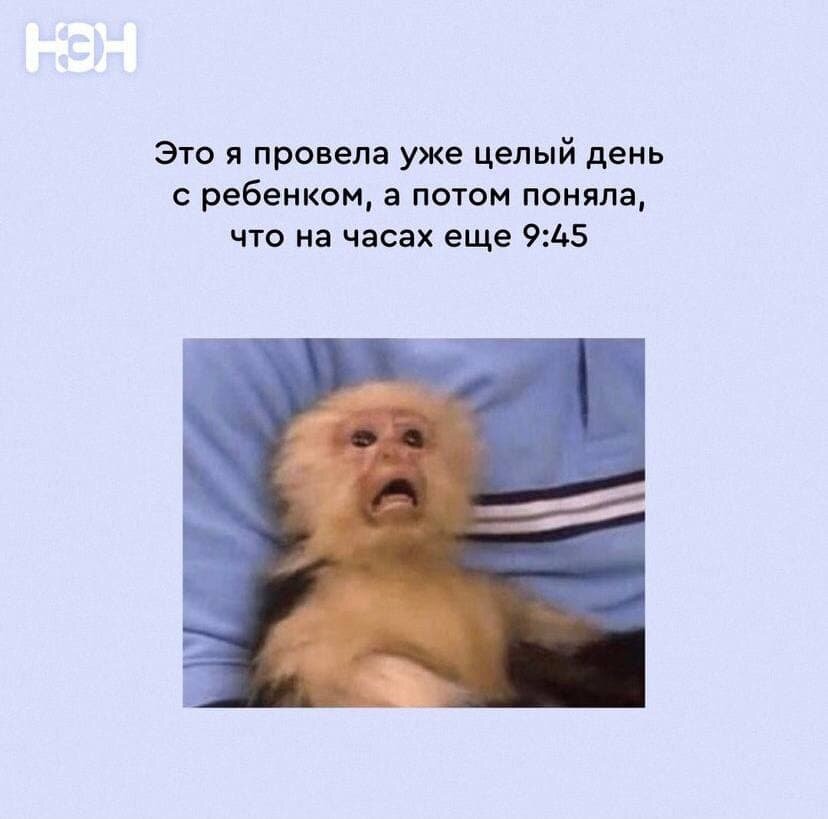 © «Нет, это нормально»