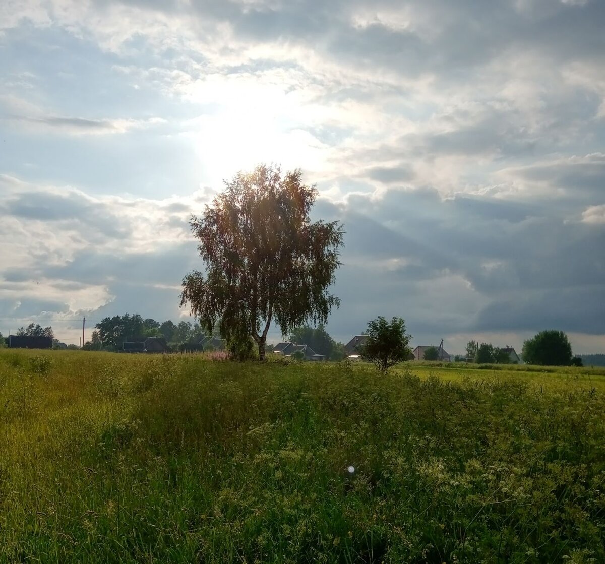 Фотография из личного архива 