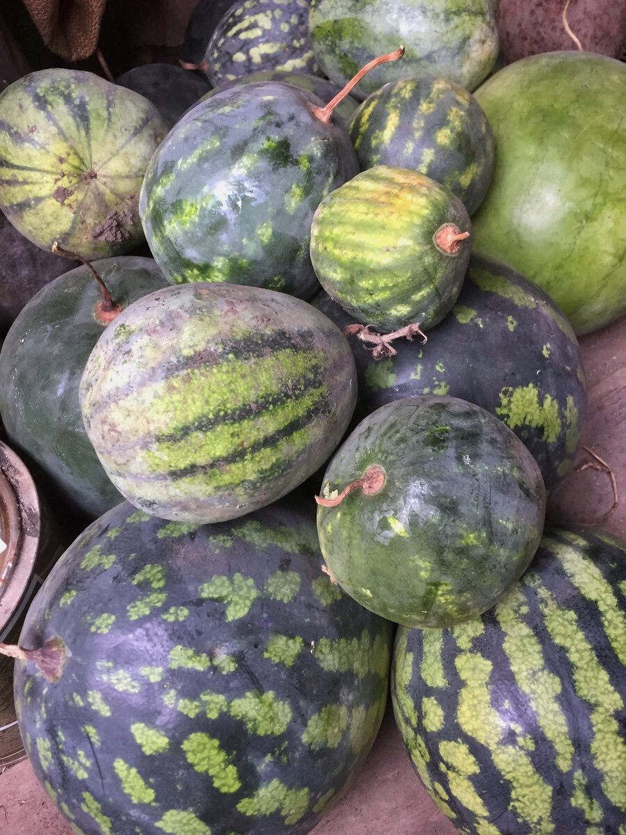 Мой урожай 2021. Маленькие пошли на засолку, а большие-к столу