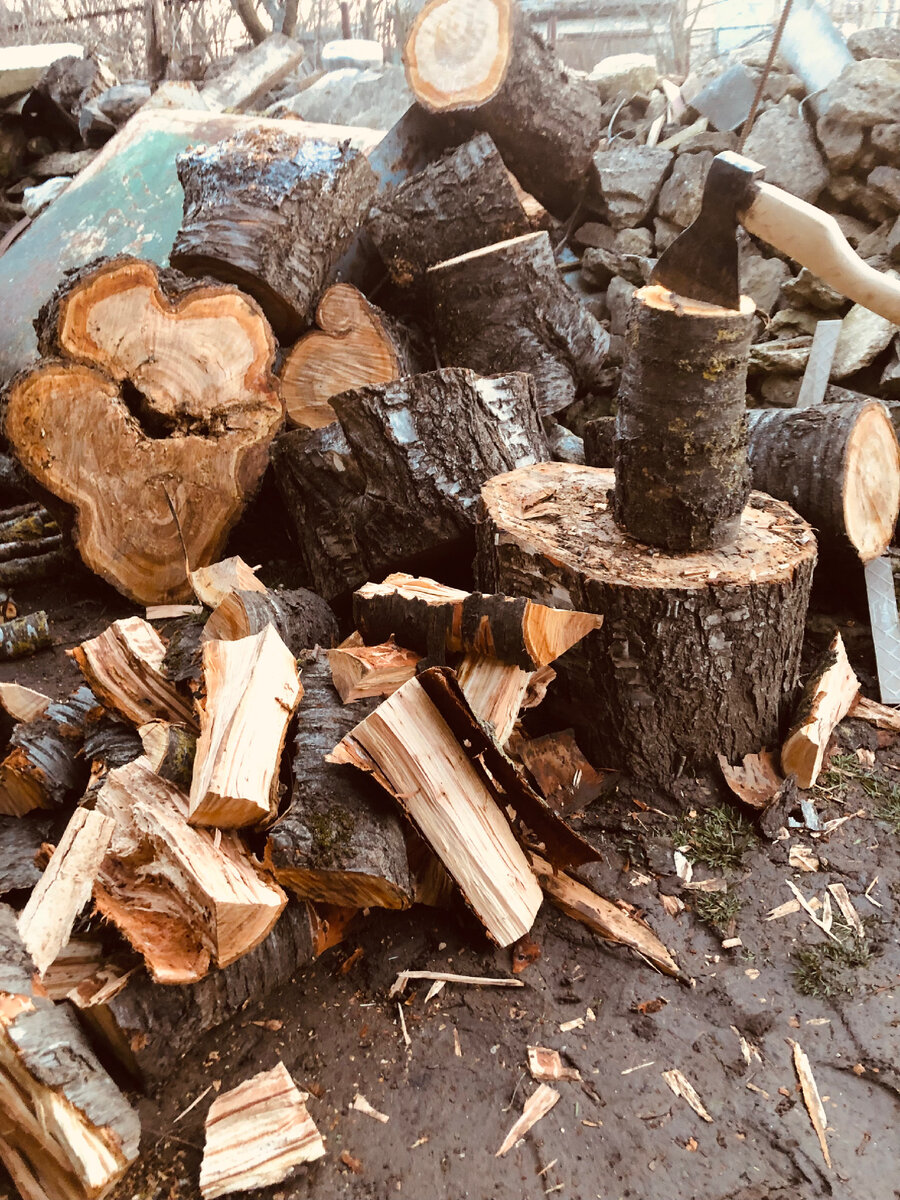 Косточковые