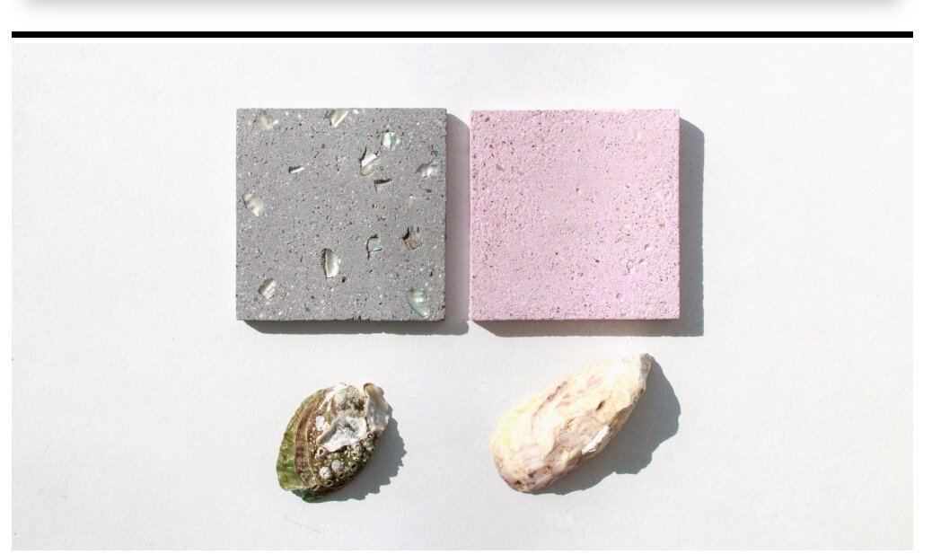 Источник фото: https://www.dezeen.com/2020/08/28/sea-stone-newtab-22-design-shells-materials/#