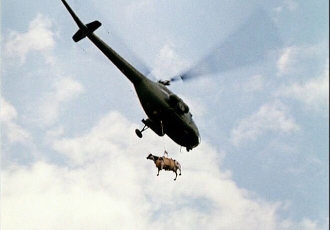 В галерее – кадры из фильма Данелии